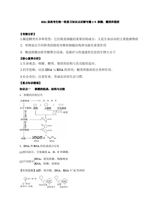 2021届高考生物一轮复习知识点讲解专题1-4 核酸、糖类和脂质【含答案】