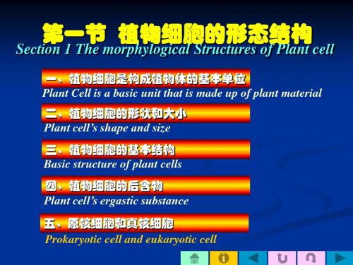 第一节植物细胞的形态结构-文档资料