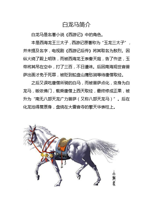 白龙马简介100字左右