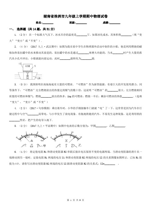 湖南省株洲市九年级上学期期中物理试卷