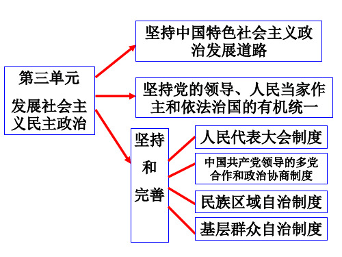 高三政治社会主义民主政治的特点和优势