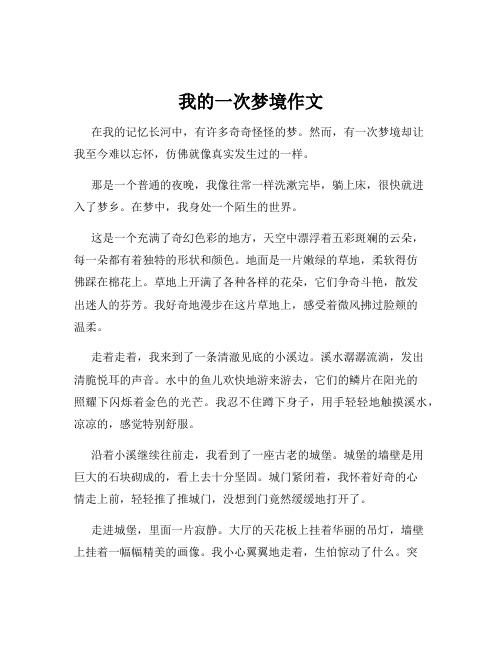 我的一次梦境作文