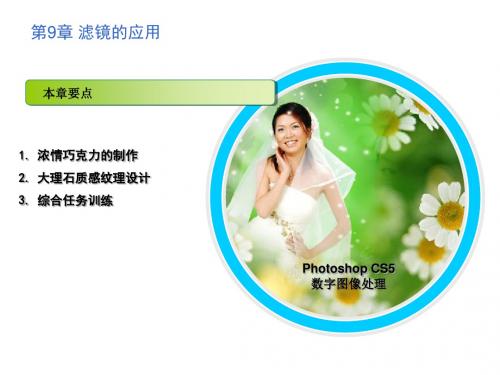 Photoshop CS5数字图像处理第9章 滤镜的应用