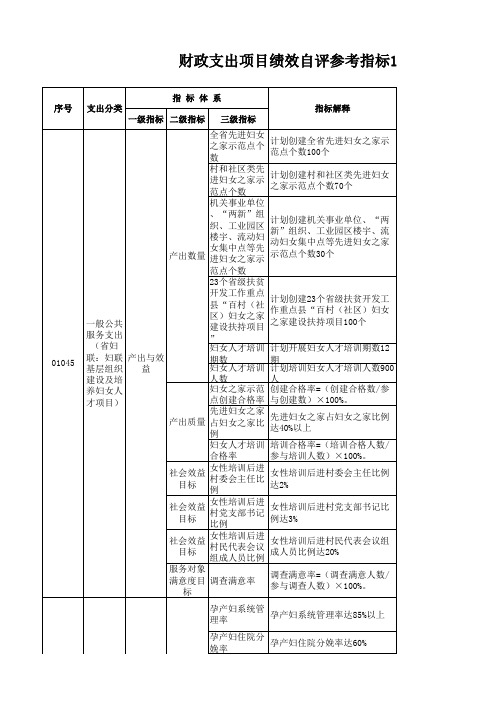 项目支出绩效评价指标体系：一般公共服务支出(妇联) 