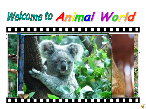 牛津译林英语八(上)Unit 5 Wild animals welcome to the unit 公开课教学课件共52张PPT