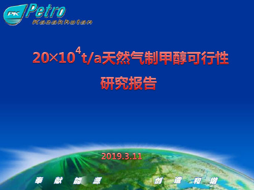 某公司年产20╳104t-a天然气制甲醇可行性研究报告