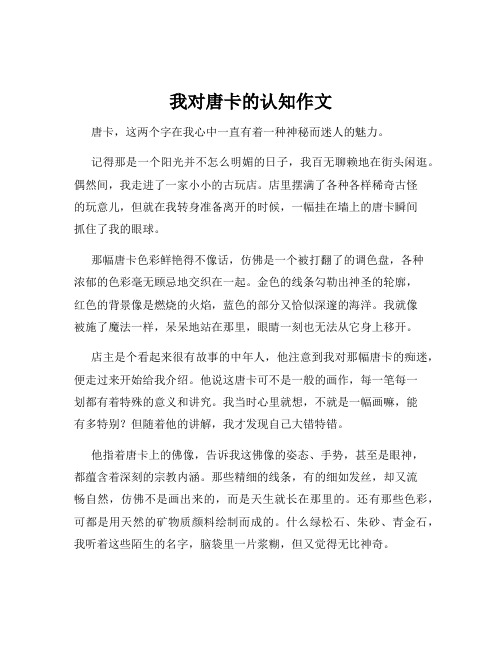 我对唐卡的认知作文