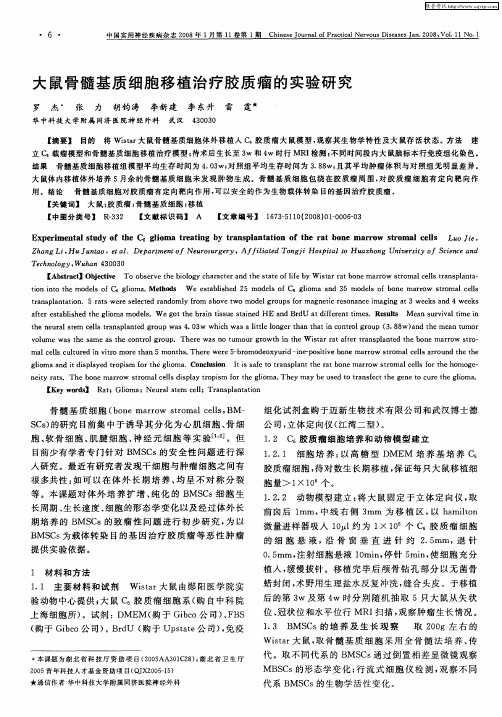 大鼠骨髓基质细胞移植治疗胶质瘤的实验研究