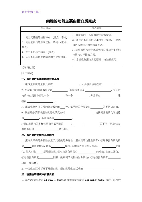 1.3.1 细胞的功能主要由蛋白质完成学案 高一上学期生物苏教版(2019)必修第一册