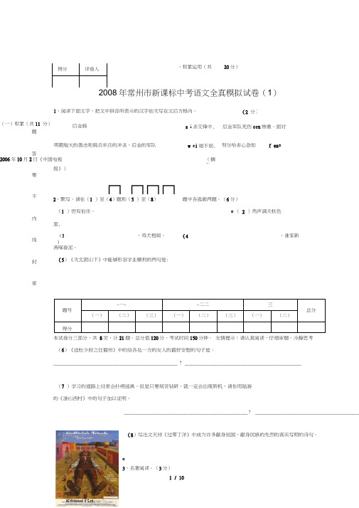 年中考语文模拟模拟试题