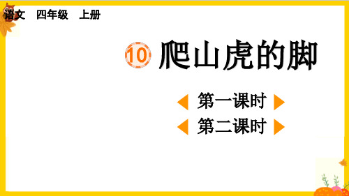 部编版四年级语文上册第三单元第10课《爬山虎的脚》教学课件