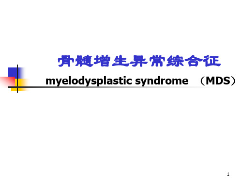 MDS-骨髓增生异常综合征