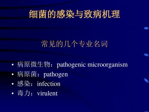 细菌的感染与致病机理-PPT文档资料