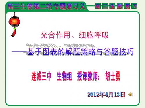 高考专题复习：光合作用、细胞呼吸
