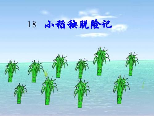 18. 小稻秧脱险记