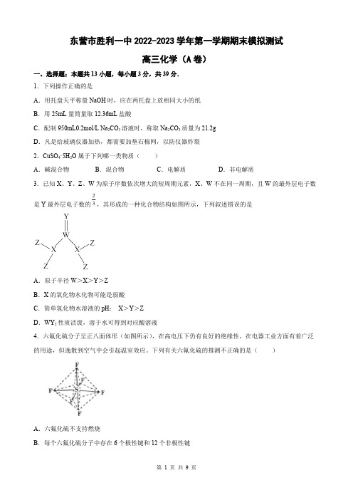 山东省东营市胜利一中2022至2023学年高三上学期期末模拟测试化学试题附参考答案