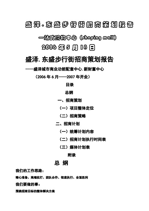 盛泽东盛步行街招商策划报告一站式购物中心页