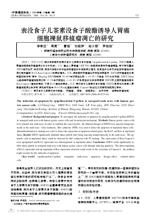 表没食子儿茶素没食子酸酯诱导人胃癌细胞裸鼠移植瘤凋亡的研究