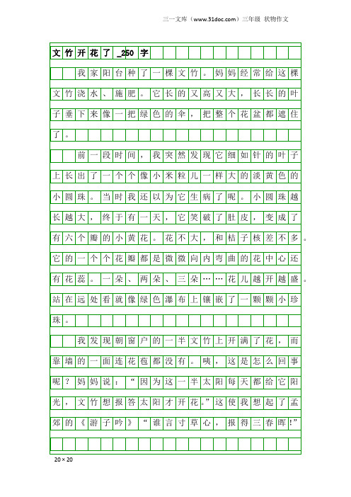 三年级状物作文：文竹开花了_250字