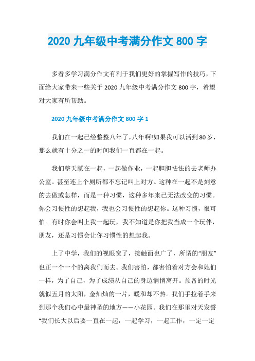 2020九年级中考满分作文800字