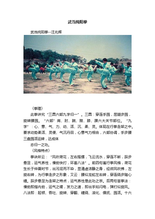 武当纯阳拳