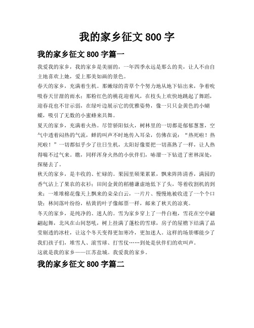 我的家乡征文800字