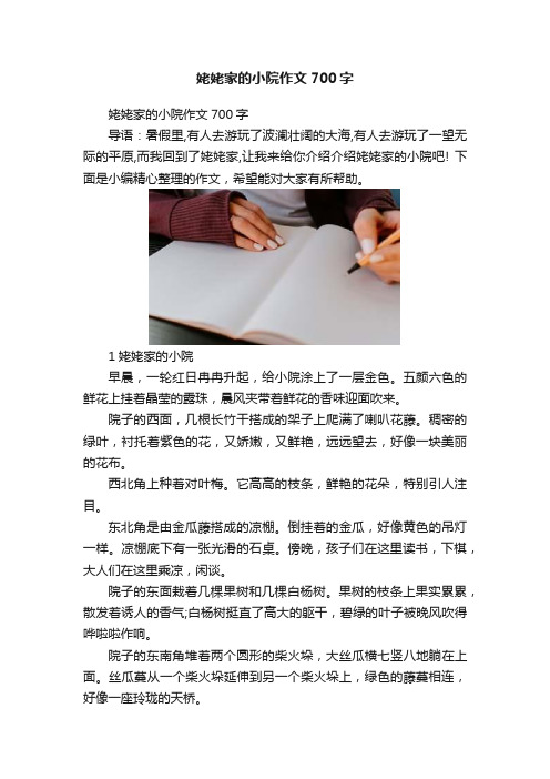 姥姥家的小院作文700字