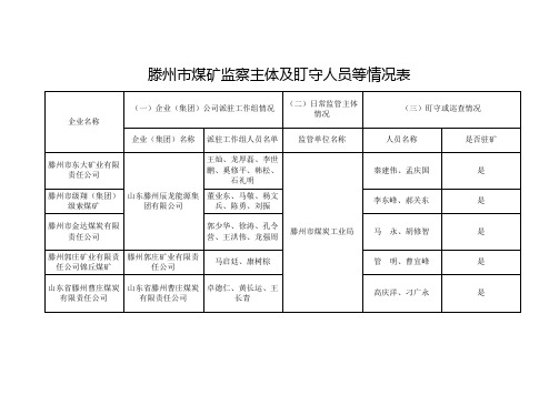 滕州煤矿监察主体及盯守人员等情况表
