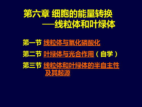 第六章 细胞的能量转换—线粒体和叶绿体 南开大学细胞生物学课件