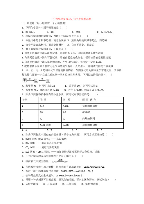 中考化学复习盐、化肥专项测试题