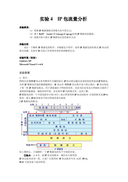 IP包流量分析