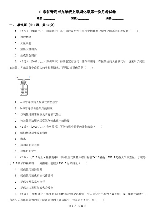 山东省青岛市九年级上学期化学第一次月考试卷