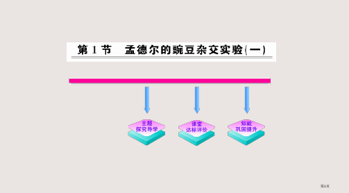 1.1《孟德尔的豌豆杂交实验》(人教版必修2)省公开课一等奖全国示范课微课金奖PPT课件