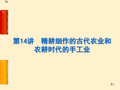 2017届高三历史一轮复习第14讲 精耕细作的古代农业和农耕时代的手工业课件