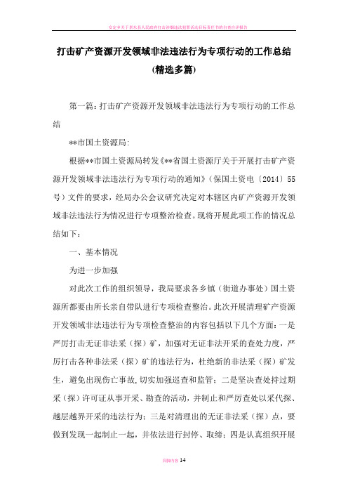 打击矿产资源开发领域非法违法行为专项行动的工作总结精选多篇