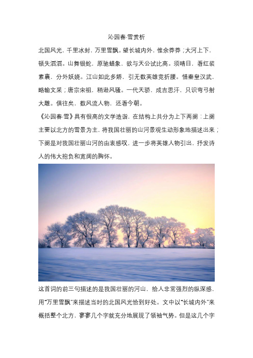 沁园春雪赏析