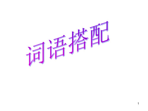 词语搭配(课堂PPT)