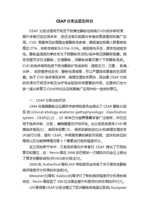 CEAP分类法是怎样分