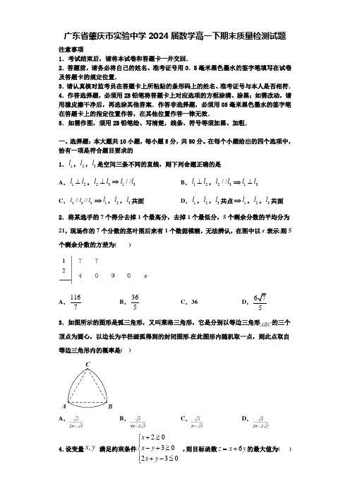 广东省肇庆市实验中学2024届数学高一下期末质量检测试题含解析