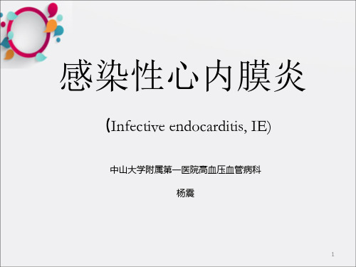 《感染性心内膜炎》PPT课件_OK