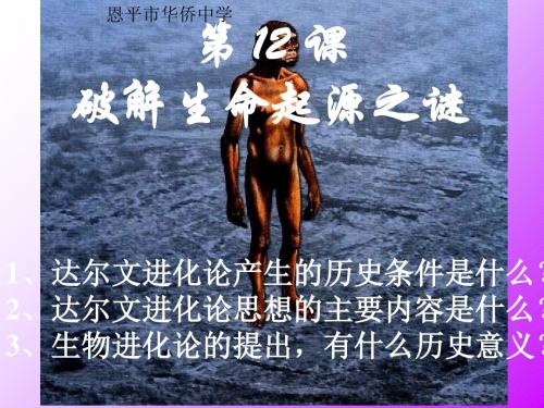 破解生命起源之谜PPT课件8 人教课标版