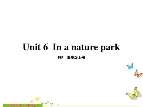 Unit 6 In a nature park第5课时 公开课一等奖课件