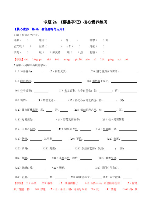 专题24《醉翁亭记》核心素养练习(解析版)