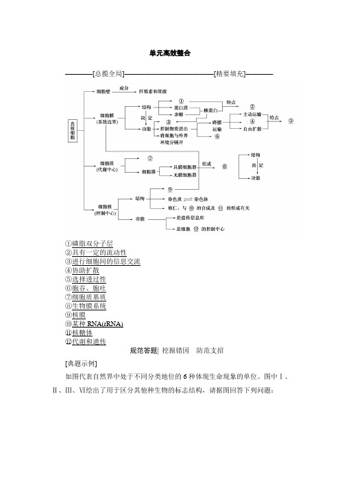 高三生物苏教版一轮教师文档：必修1 第2单元 单元高效整合 Word版含解析