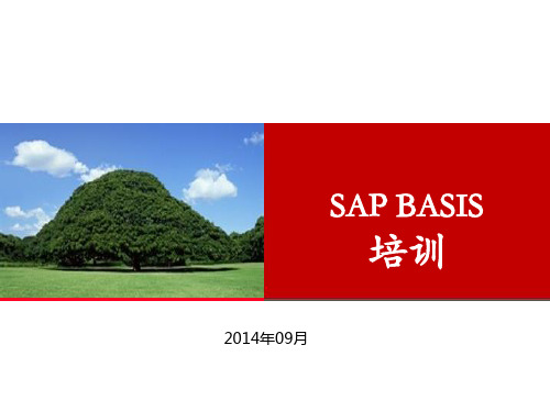 Basis培训教材第2部分_(用户,传输,client管理)