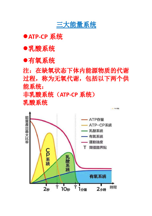 人体三大供能系统