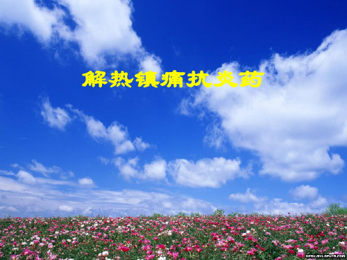 解热镇痛抗炎药