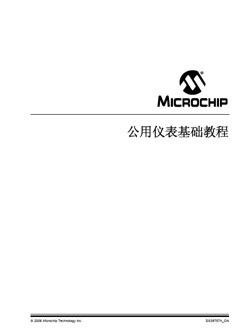 MICROCHIP 公用仪表基础教程 说明书