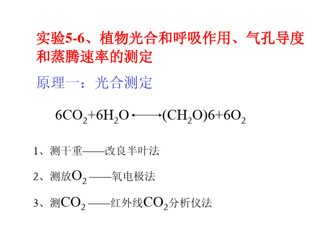 试验6植物光合和呼吸作用气孔导度和蒸腾速率的测定原理一