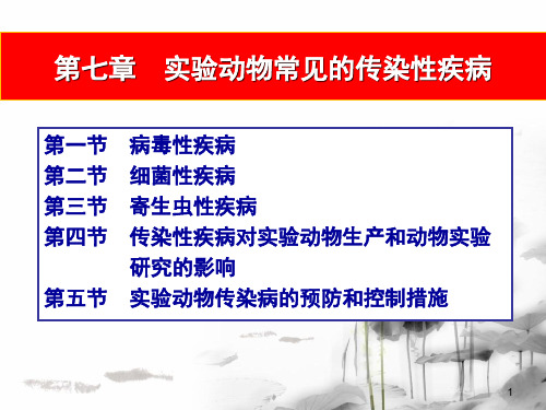 医学-07第七章实验动物常见的传染性疾病